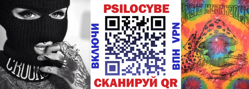 сколько стоит  ссылка на мегу маркетплейс  Псилоцибиновые грибы Cubensis  Удачный 
