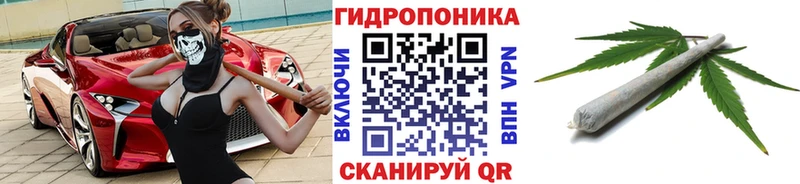 Конопля AK-47  как найти закладки  Удачный 